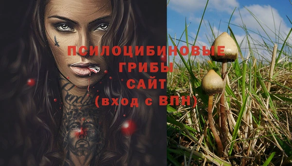 spice Богородск