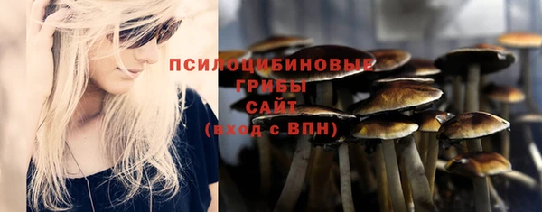 ешки Балахна