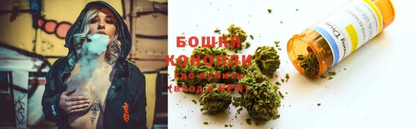 spice Богородск