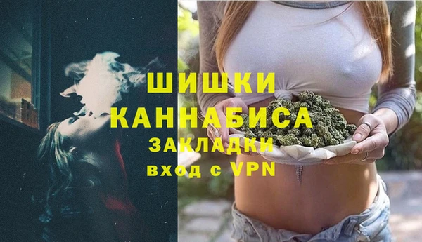 spice Богородск