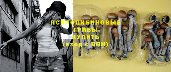 мескалин Богородицк